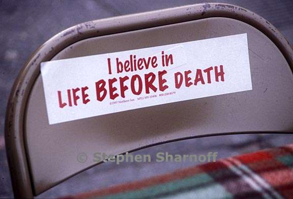 i believe in life bumpersticker